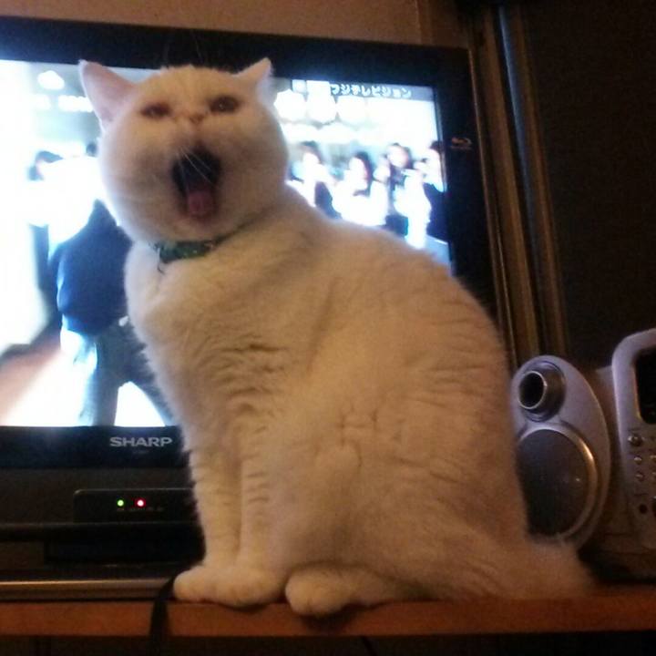 B463ff47 5353 4cbe 9c05 0061fe2fcca3