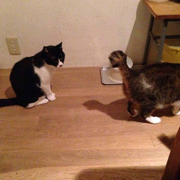 B4669826 21ae 4b26 b1c4 df26f46161fb