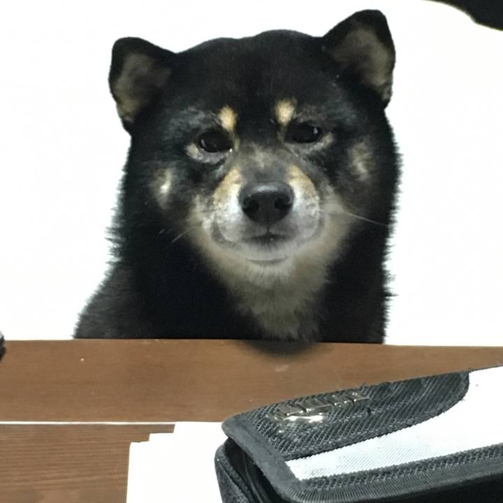 B466e950 db6c 4851 ac63 e90231504aec