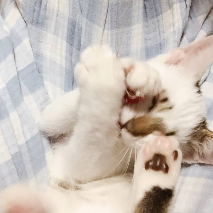 B467679b 249f 4634 9f0e a66ffc7c83db