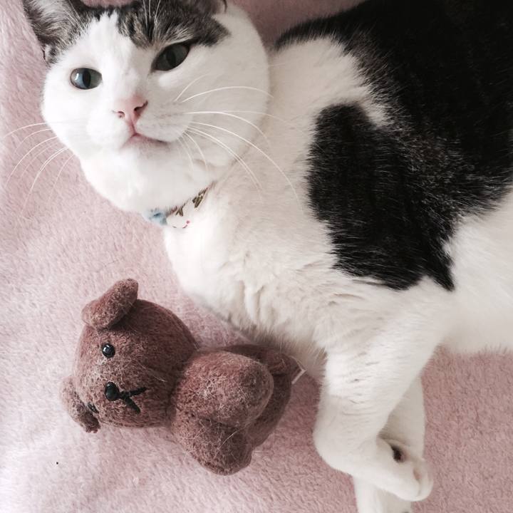 B467b14c ad02 464e 94fb 1d3654cce139