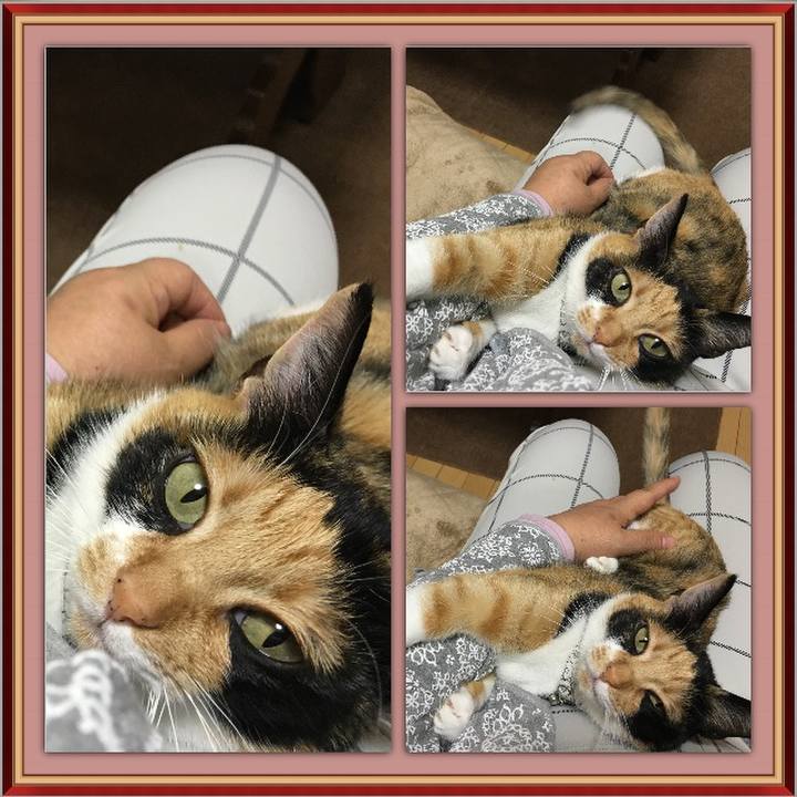 B467da08 7da1 4e62 a4d7 e6b3359633b1