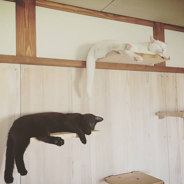 B4680fcd 231a 45b0 8d58 7e5bb8992159