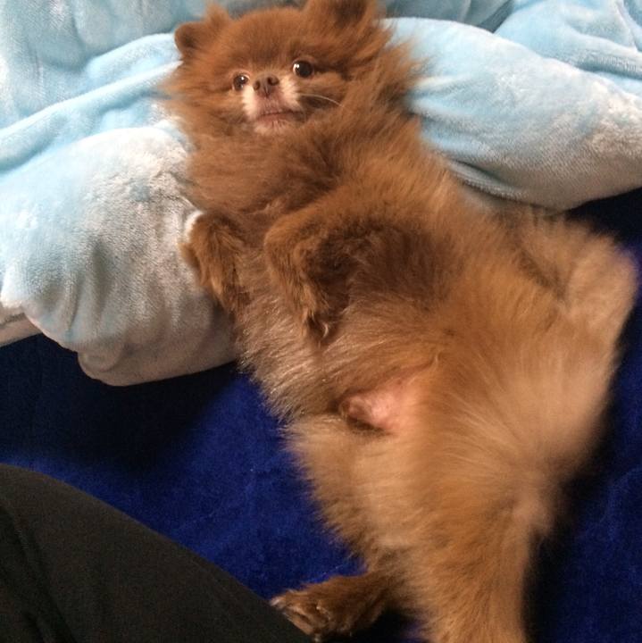 B468937d f7c0 4d97 bce3 2ffb70b285bb