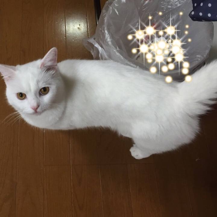 B468ee8a 111b 4460 bf41 a3c86070cd1a