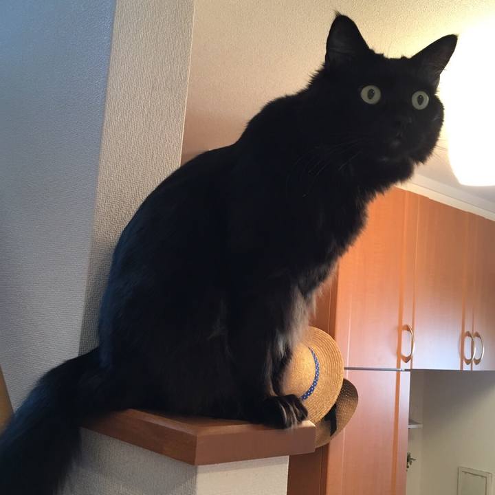 B46948e3 8087 49a4 90de 4fa8b5147dc3