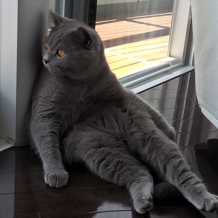 B4698b7d 1598 4a13 bded 9eeae4151027