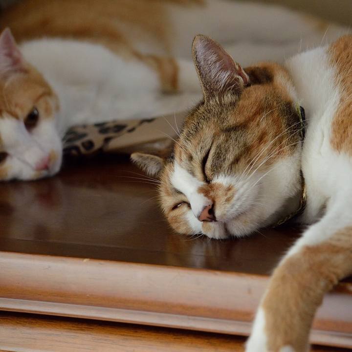 B469f748 1db8 4cb0 88fb f25350cf6f1a