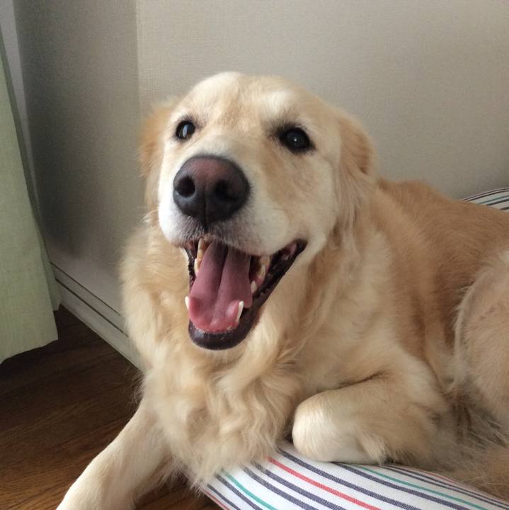 B46a6c09 2a85 4bf9 8bb5 e771da7ae251