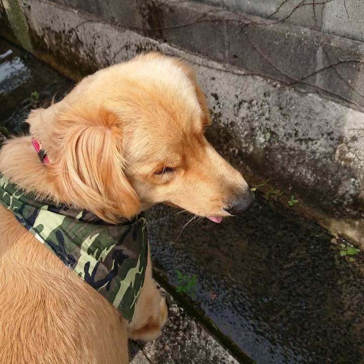 B46aa2ee ddfe 46d1 9836 b9af155daa16