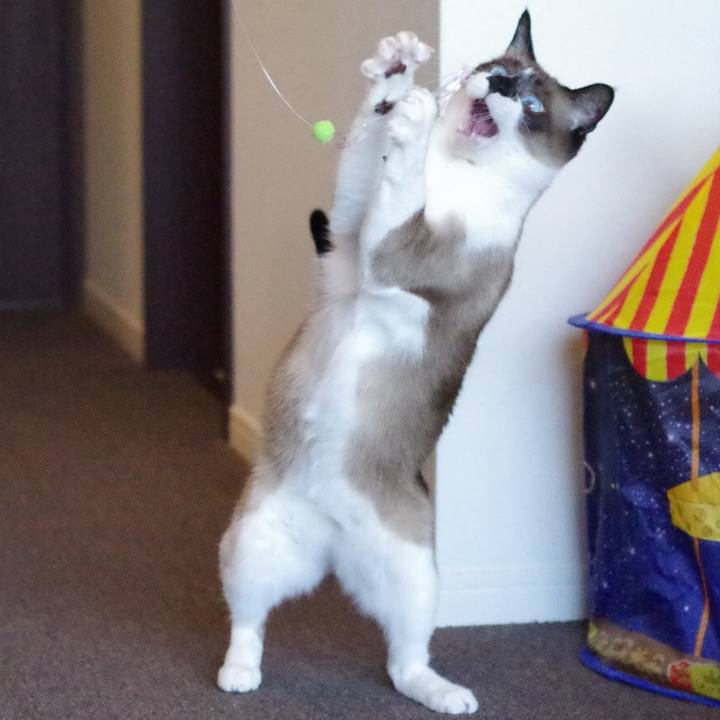 B46b10b7 bebb 40d3 bacf 4e17c653f06e