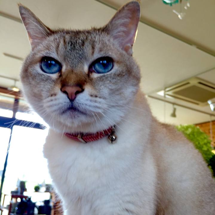 B46b8333 af16 4dd3 b46a af7a5655b170