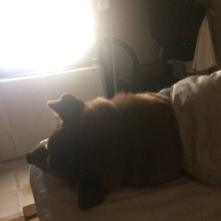 B46b86c5 3611 429c 9e5e 971bd7a762dc