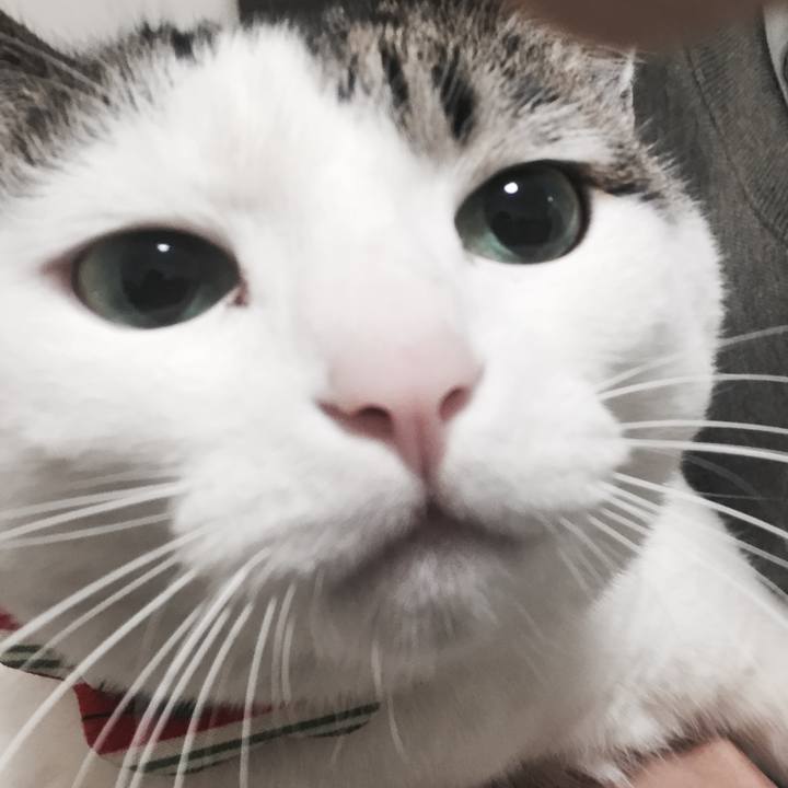 B46b903c 1cb0 4a1a 8e35 cf247f61fc96