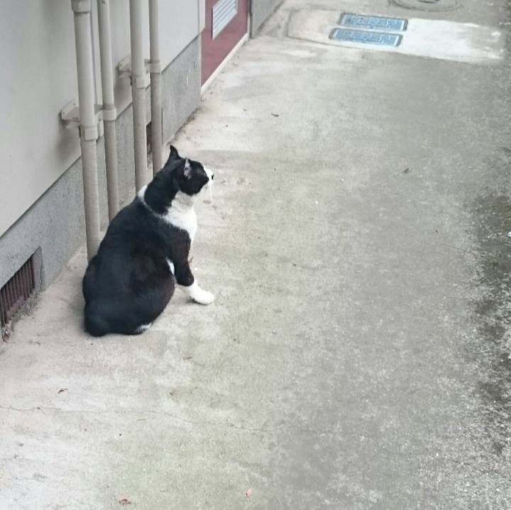 B46bcabd dfa6 4cf1 8f46 3e70fe7e7786