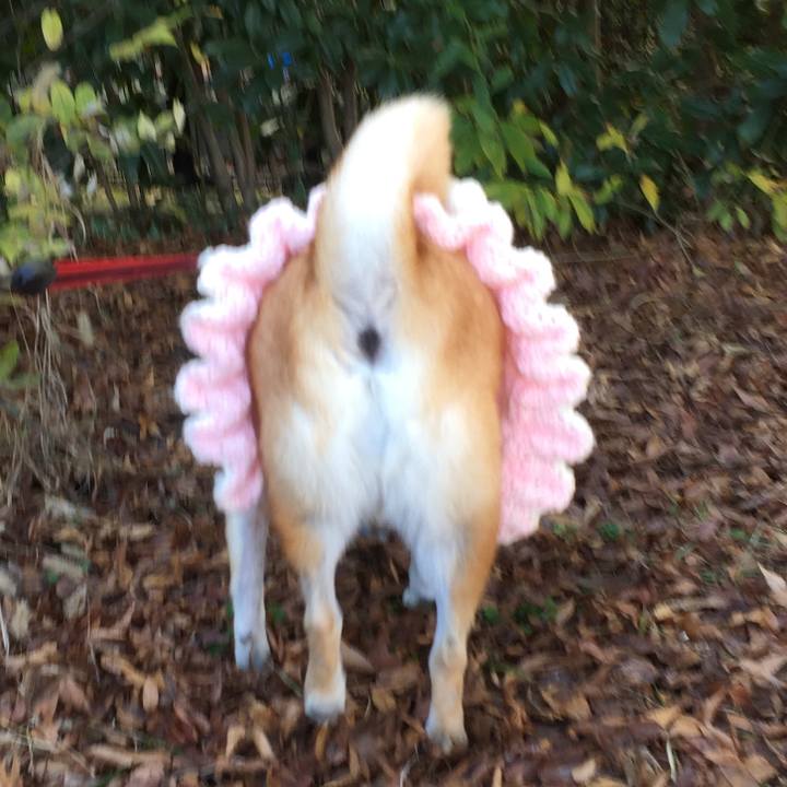 B46be74e 10eb 4556 931b d8fd5e542858