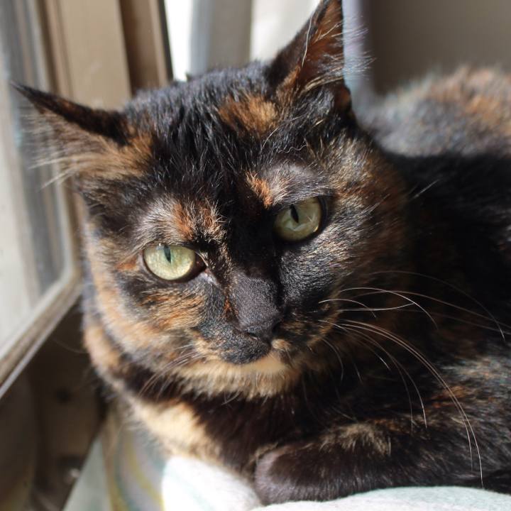 B46bf33d 6ad9 4e67 a1c8 6dccbc1ad7dd