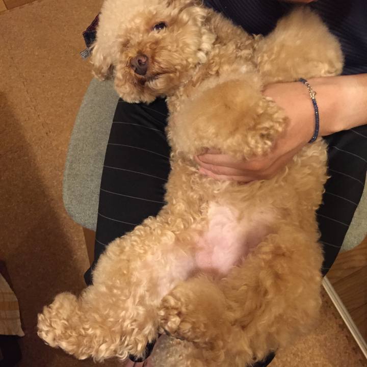 B46cf113 ac58 4734 ae1d dcfb4f297356