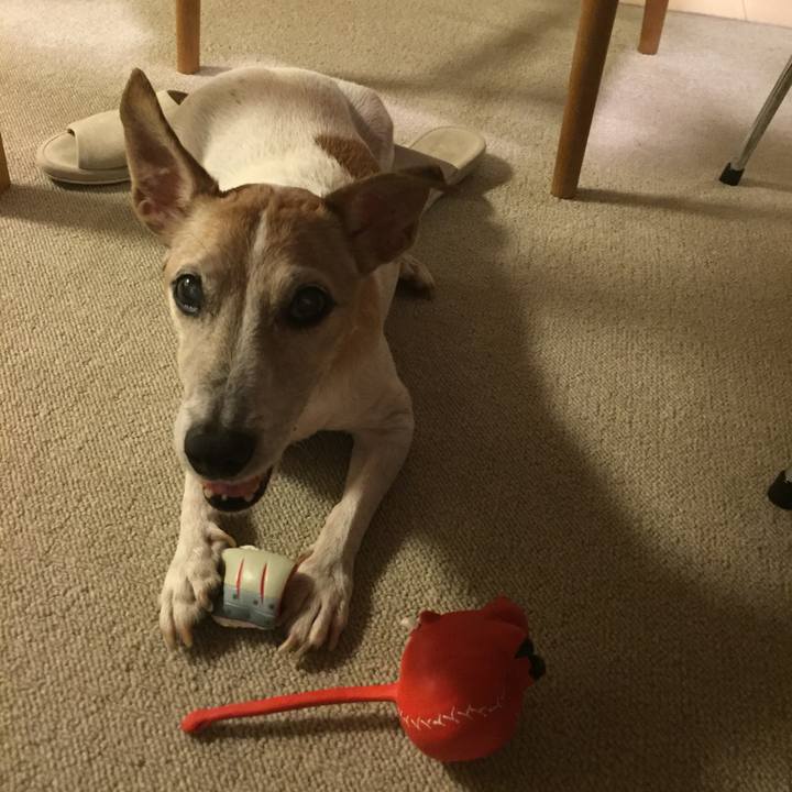 B46e0075 9f69 410a b7c2 b91416d3333e