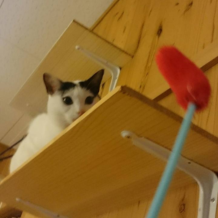 B46e3e08 9f34 454b 95d7 cf79f76ec1a3