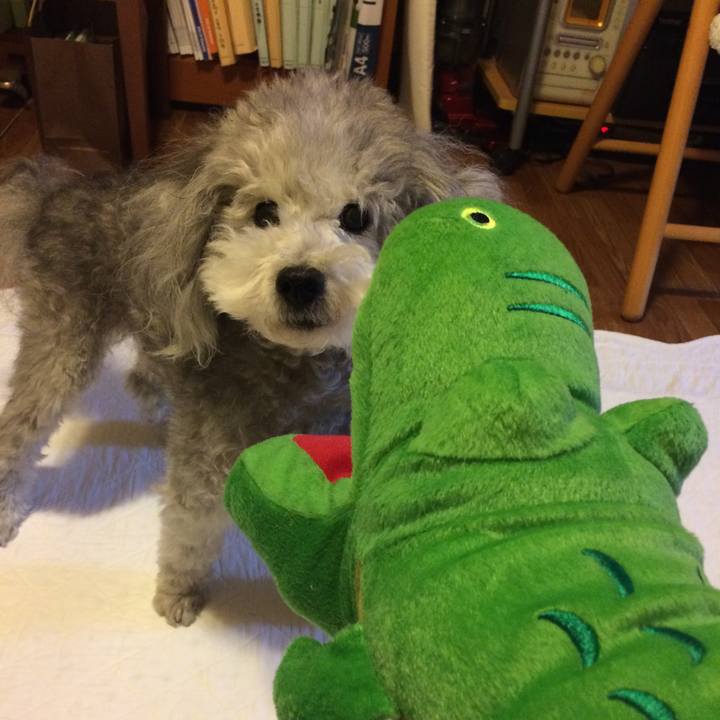 B46e5b3b ce0d 4048 aebd d4229ea3d9b3