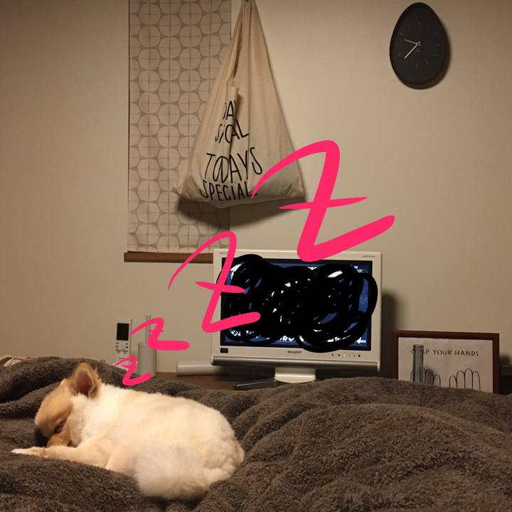 B46eb37a 4ae9 4c91 91bd 66f616e832ae