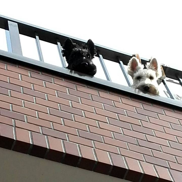 B46ef4d2 4935 474a 8e0b e290f088fb3d