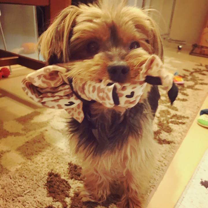 B4709f37 3f36 4496 bce0 fbfa7e74278b