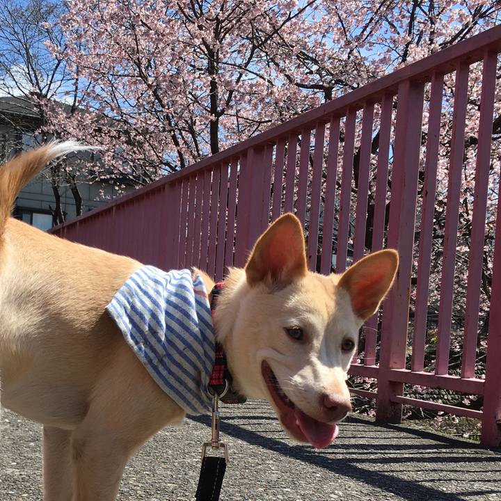 B4717653 43ed 449e 8371 bfe98fb5f3b0