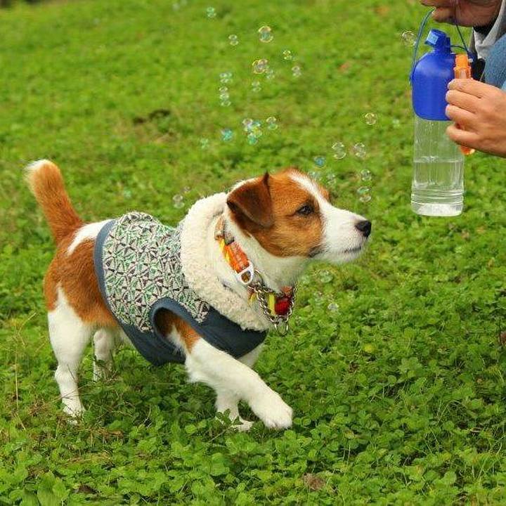 B47248f8 f389 4df6 a67b 6b08ecc893a9