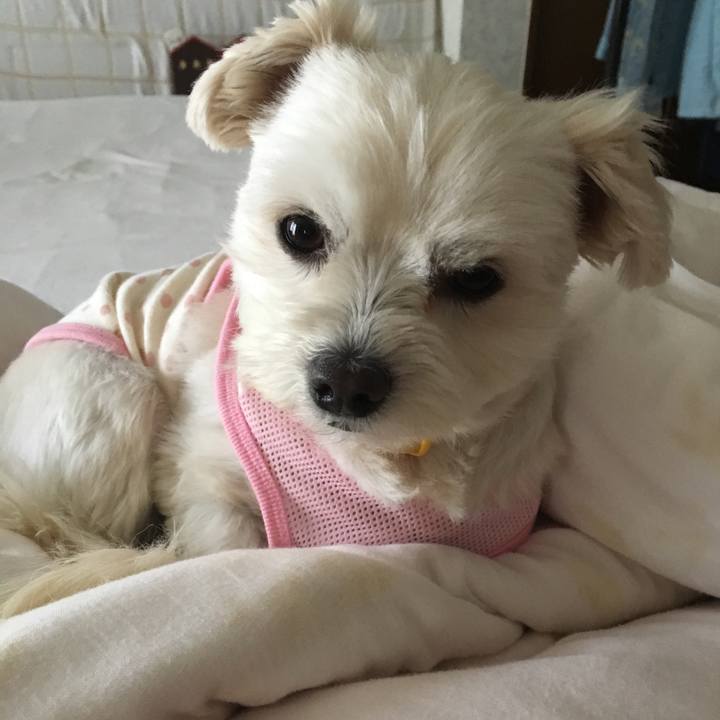 B4725eda e531 4dbe a107 4262f9e5c6ef