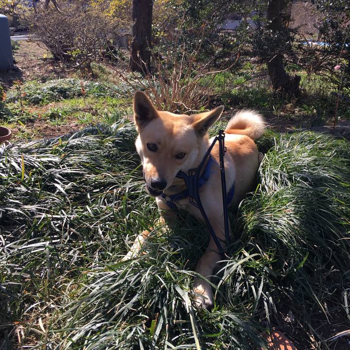 B47311cd 73af 4e28 a86b e73ee447998d