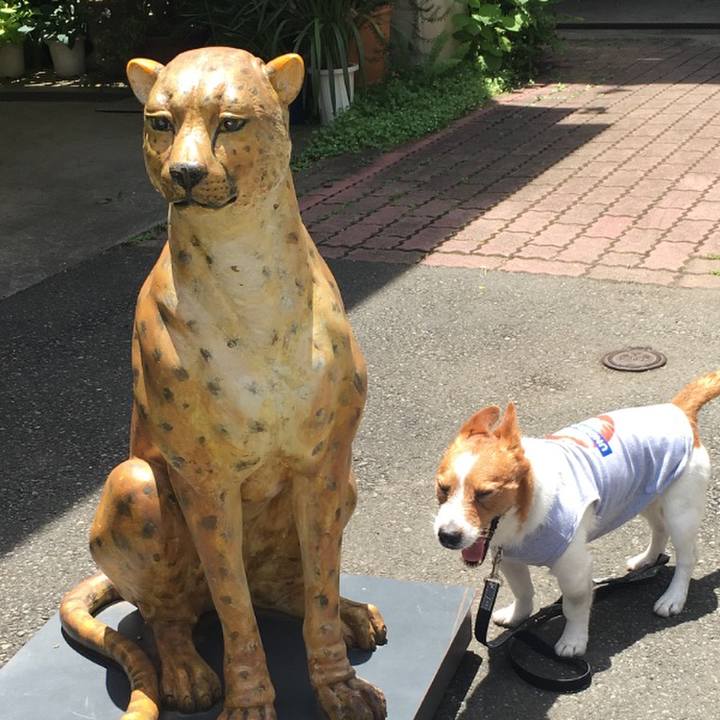 B473c0c3 342f 4afe a28e e649f2dccc39