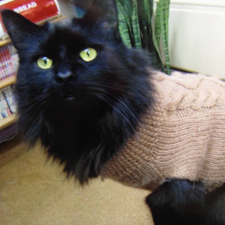 B47423bb 35cc 4bea 9791 6514d58b99b8