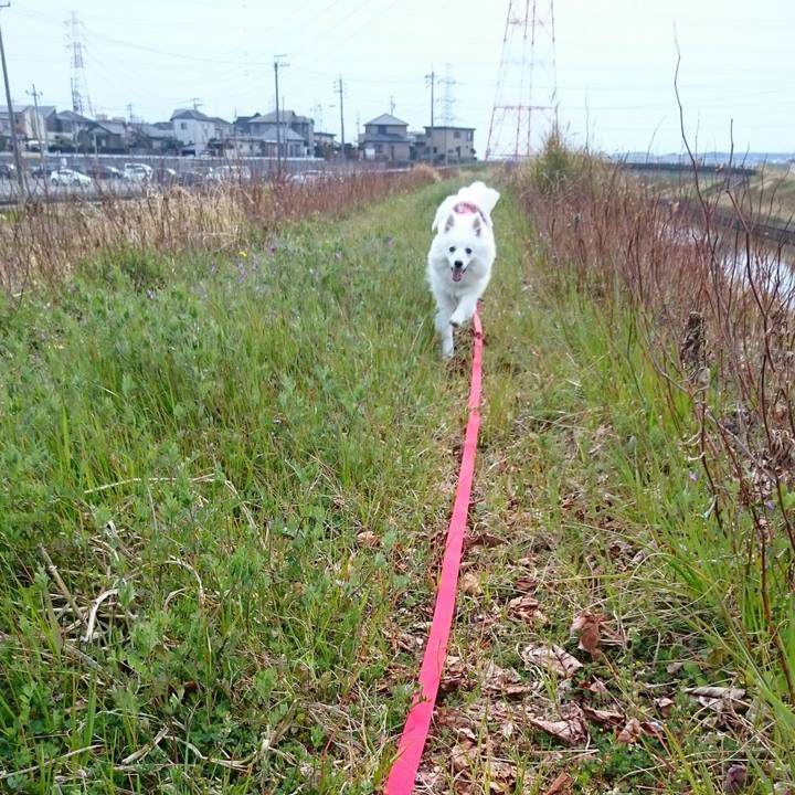 B47462ab 50d5 4eef 81a2 4e6d869898e9