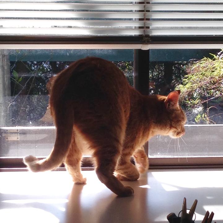 B4746e83 713f 49bf b120 65163c16faf6