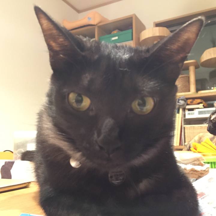 B474afc5 8dbe 4609 b740 3e2a1d64d51e