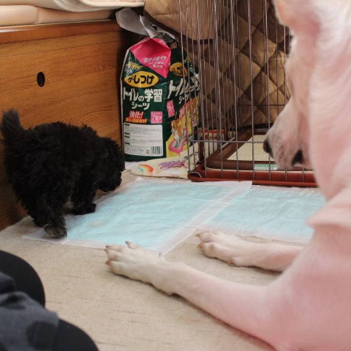 B474ceee 10d3 47ea 9b58 523a9e823354