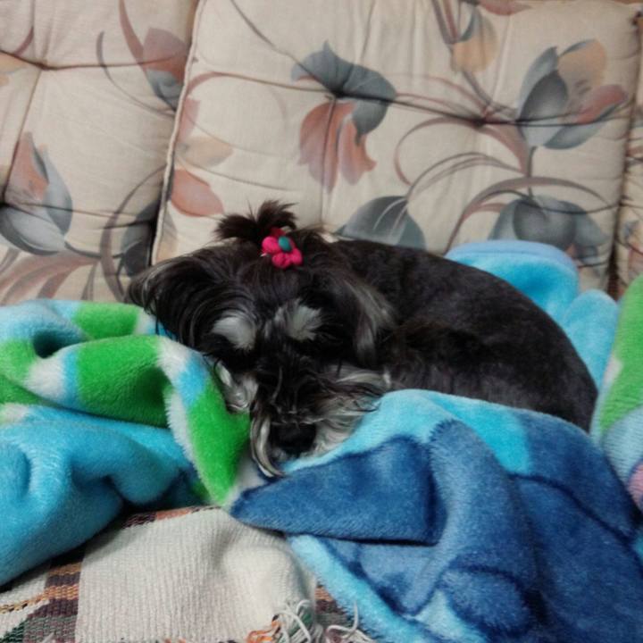 B474eff4 2f8f 4e06 8f7a 810decff13f2