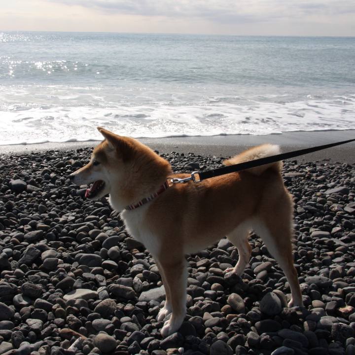 B475f2ea 2104 474c a1a3 7659eec9f7e3