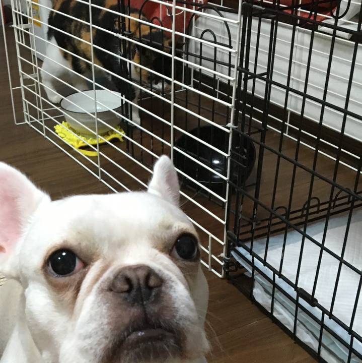 B4760e53 a4c8 4432 8121 f40801a907f6