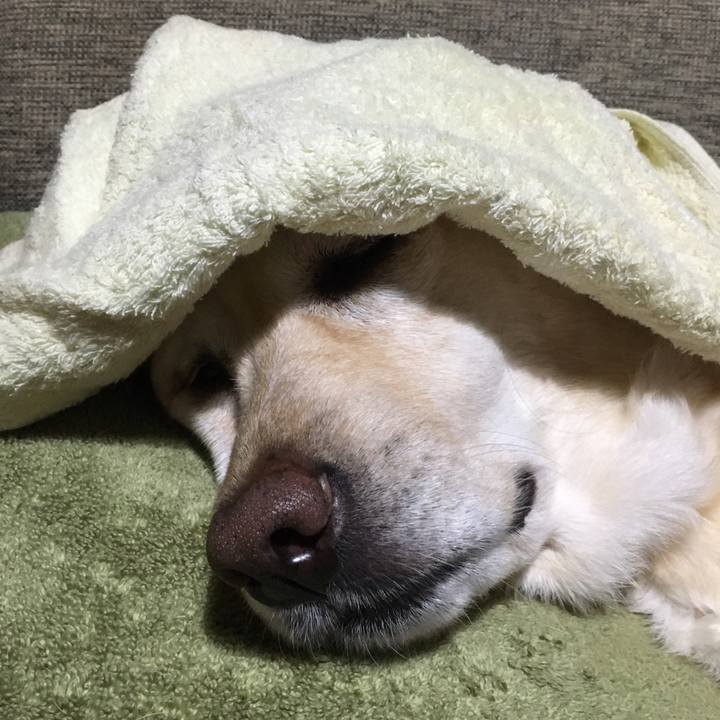 B4771f8f fa0f 468f bd6e 1dc052b13ef8