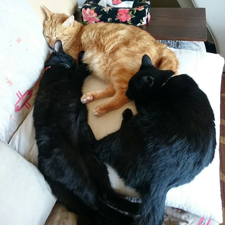 B477419c 3d11 471c aae6 ff78998ace0b