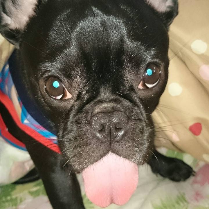 B4780193 f704 4e80 a0b8 368e7715852a