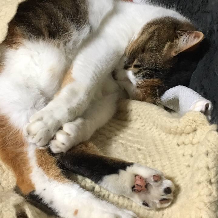 B4787b6a 0769 4a06 bcec dc0d074cb35c