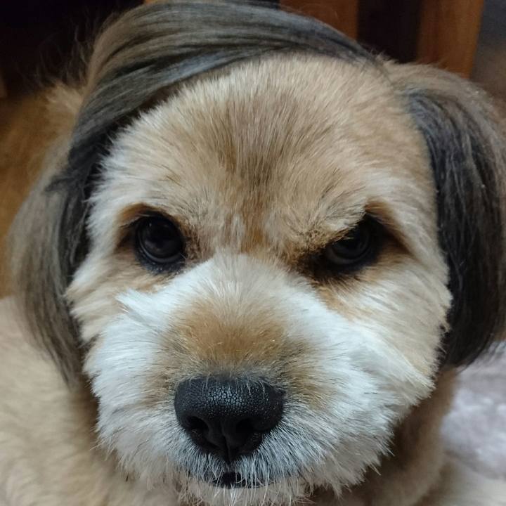 B478b831 3489 46e6 917b a497fb847d23