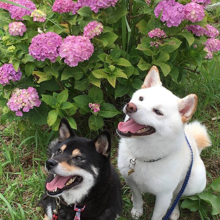 B478e2fc 1c46 4949 97fb 0400114413f5