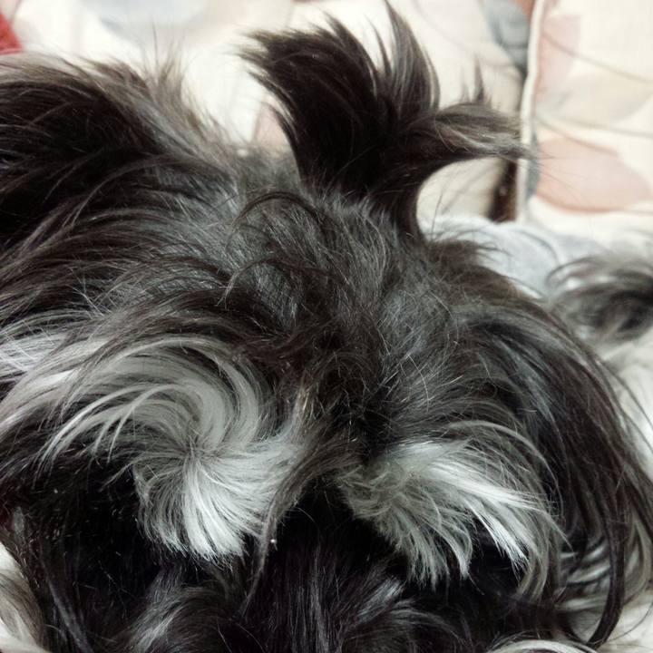 B478f3d6 8e75 4f67 bbfe 87205c2d8e9b