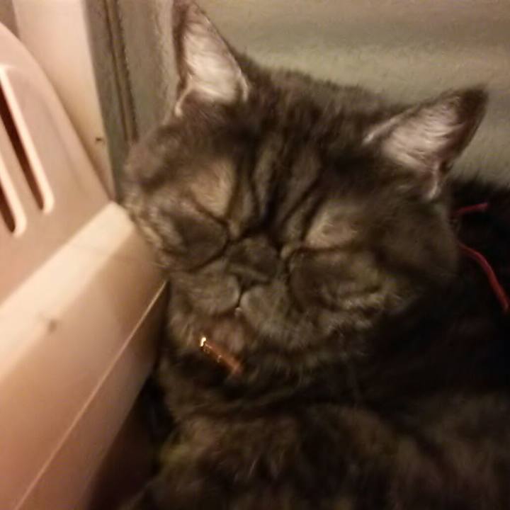 B4793764 51ed 4b08 9110 ac996248011d