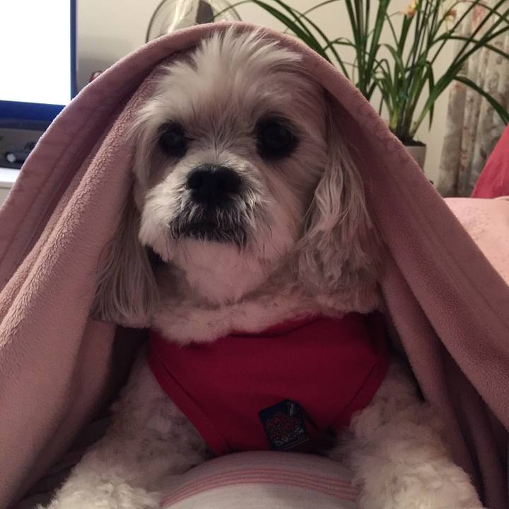 B479b36d 0d1d 45ac 8602 09d881642546